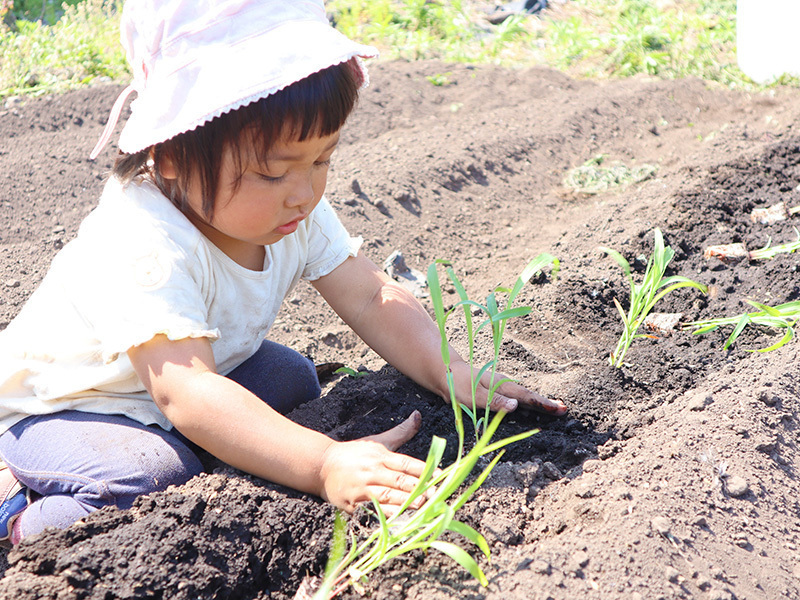 ＠静岡【初年度特別価格】《栽培２｜平日》雑穀の苗植え