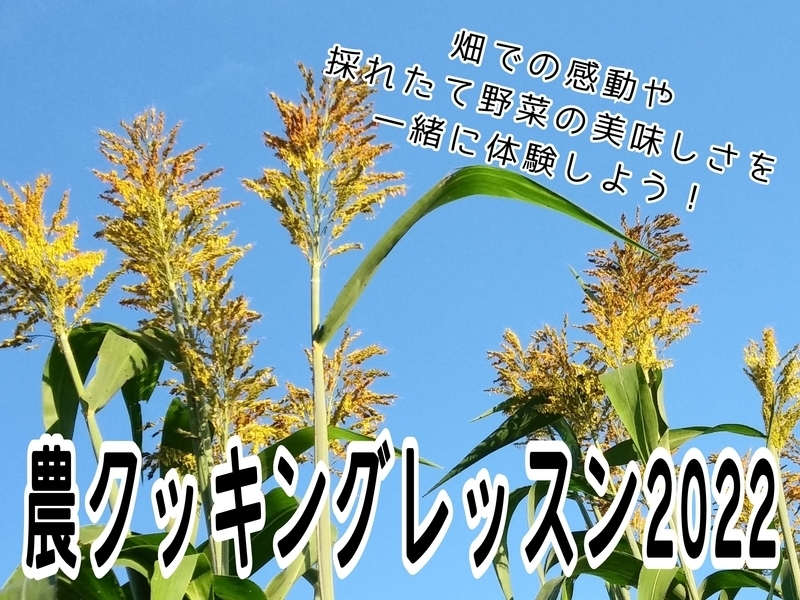 【単発申込】農クッキングレッスン５月～雑穀と野菜の苗植え