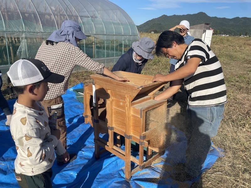 山形《雑穀栽培5／休日》脱穀