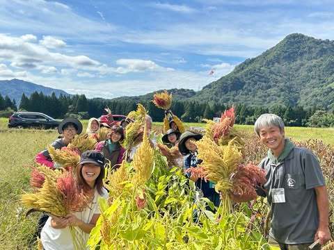 2025年《本気で自給したい!人のための雑穀栽培講座》　本気で雑穀を自給したい!方のための計画から一年間のサポート付き