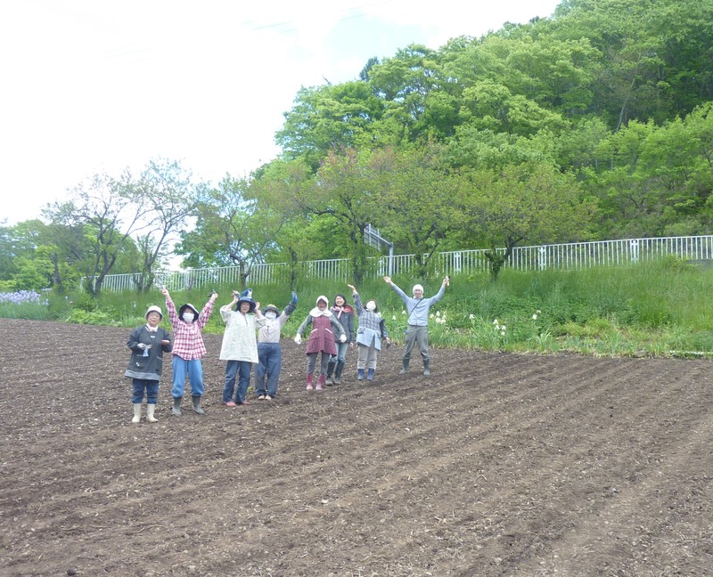 【岩手・岩泉】雑穀栽培体験×つぶつぶ料理レッスン  コスモスのイメージ画像