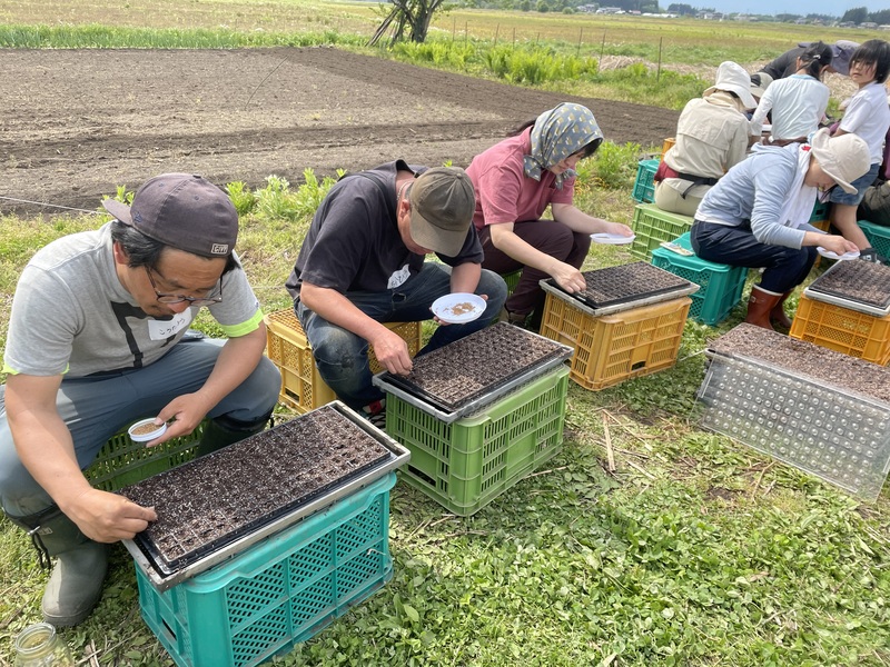  山形高畠《雑穀栽培2／休日》雑穀の種まき