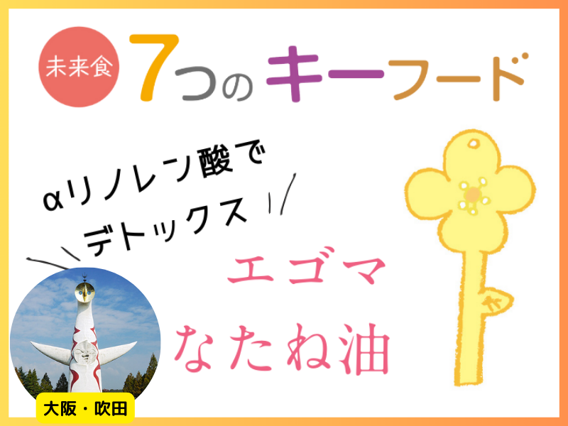 ラスト開催‼️【大阪・吹田】未来食７つのキーフード③（単発レッスン）