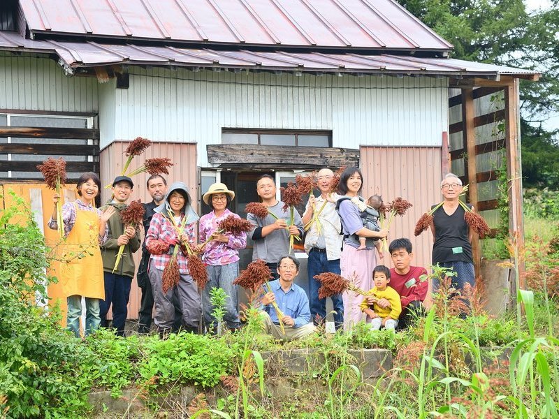 【長野飯山】《栽培４》収穫