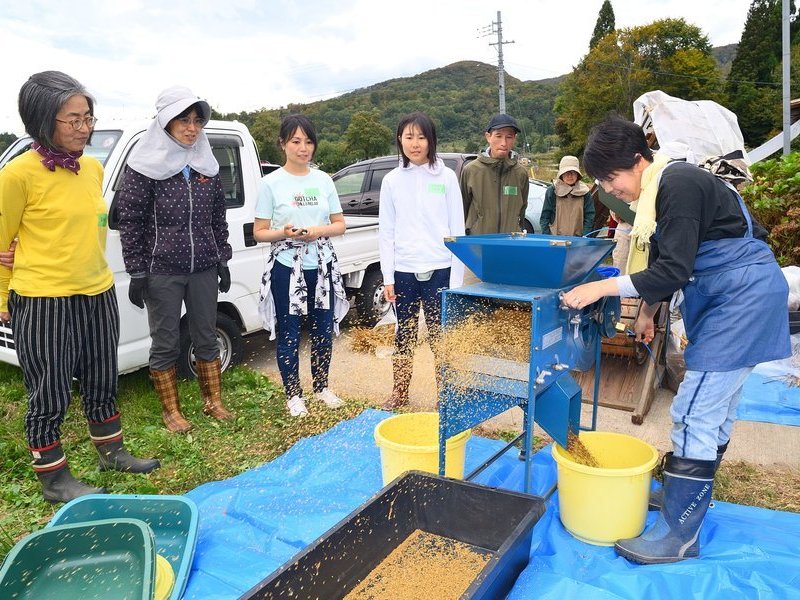 【長野飯山】育てて楽しむ《雑穀栽培体験 一年コース》一括申し込み　休日クラス　全6回  