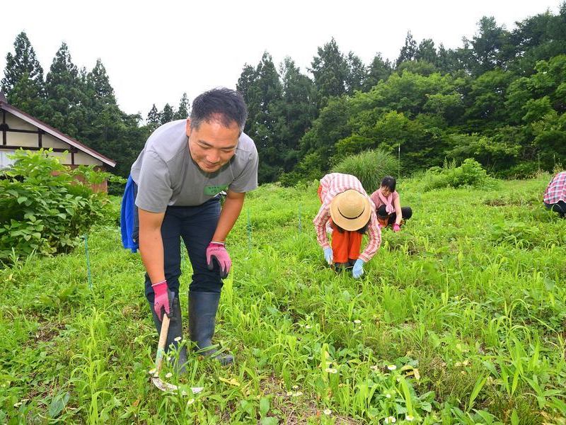 【長野飯山】《栽培３》畑の草刈り