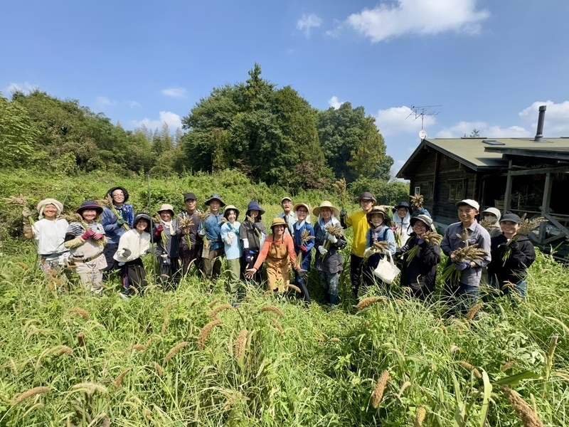 オープンデー　プレ栽培体験【畑へおいで！雑穀栽培コース2026説明会】小川町で育てた雑穀をみんなで脱穀するよー！小川町へおいで！