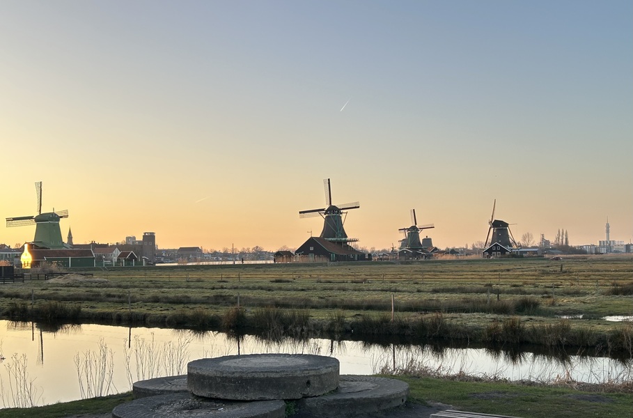 Cosmos (コスモス)のイメージ画像