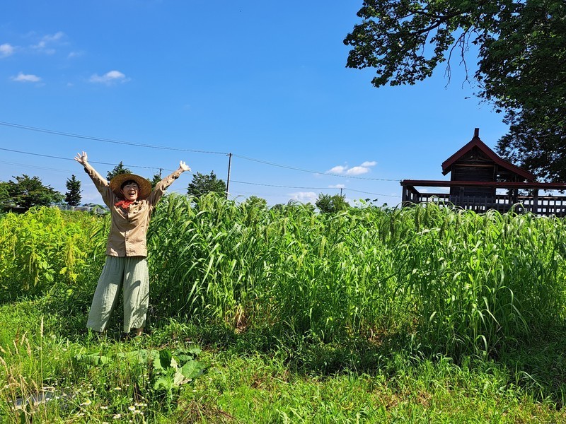 たきさんちのイメージ画像