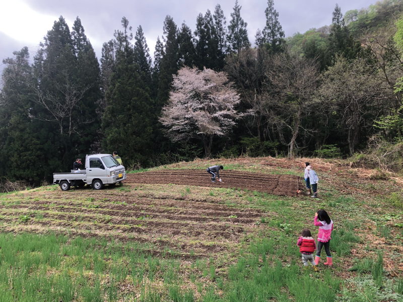 2026年　 山形《雑穀栽培一年コース(全９回）》一括申込み 【2月末までの早割はこちら！】