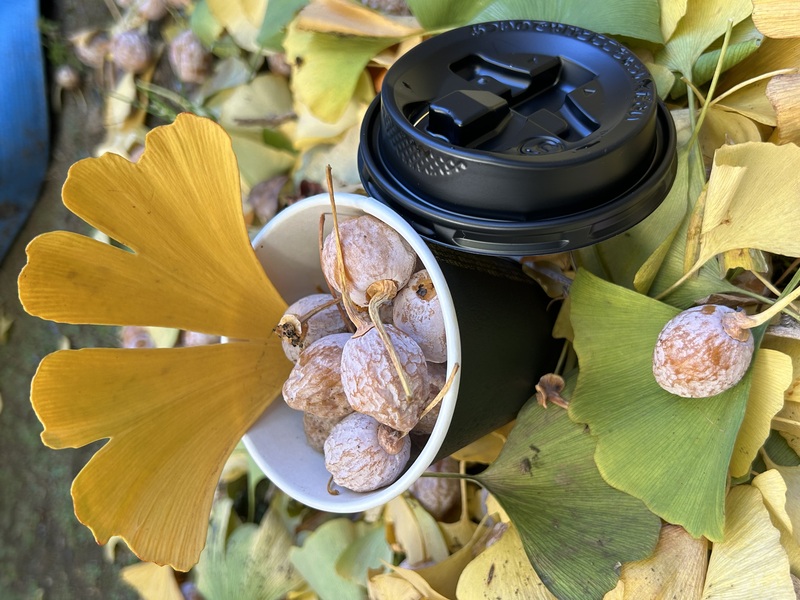 なないろまどいのイメージ画像