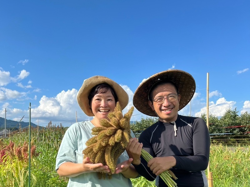 【和歌山橋本 ( JR大阪から75分) 】㊗️新会場５月１０日（日）《2026栽培１》雑穀の種まき（単発）