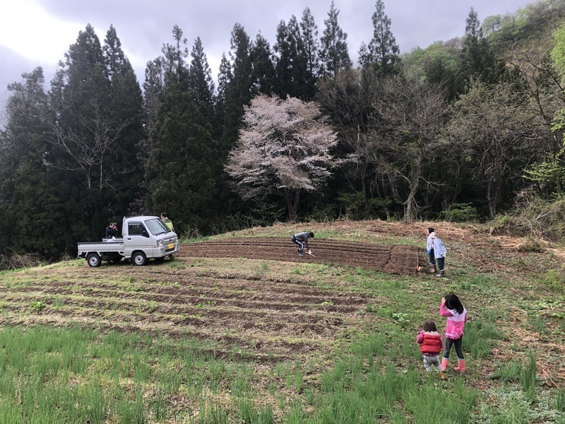 【山形小国町】《栽培1》　雑穀畑の大地の再生、水脈作り、苗箱の土づくり　