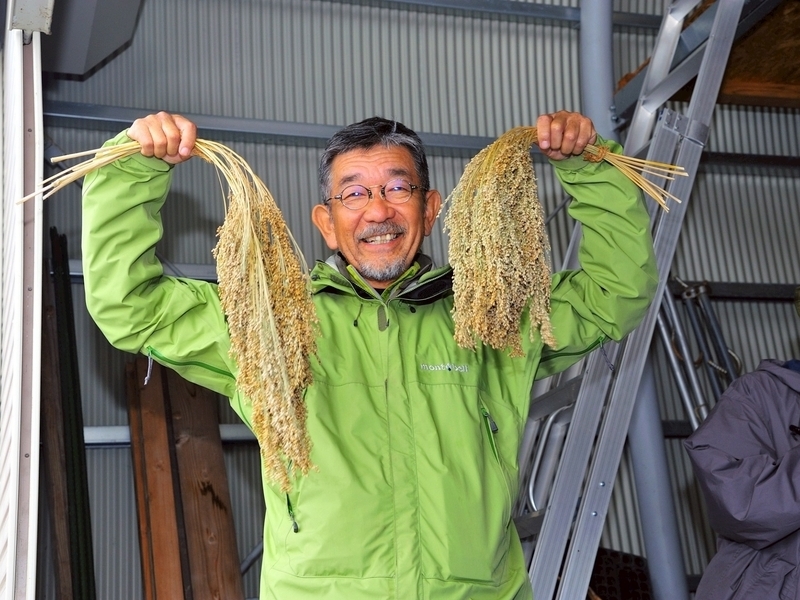 【長野飯山】育てて楽しむ《雑穀栽培体験  9、10、11月　後半3ヶ月申し込み》 おまとめ
