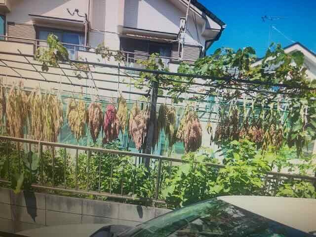 オオルリ　キッチンのイメージ画像