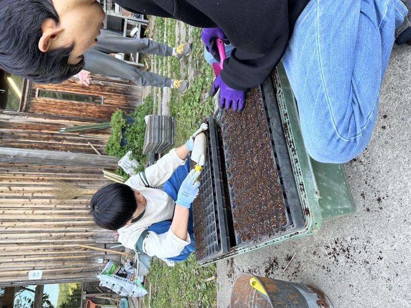 【山形小国町】《栽培1》　雑穀畑の大地の再生、水脈作り、苗箱の土づくり　