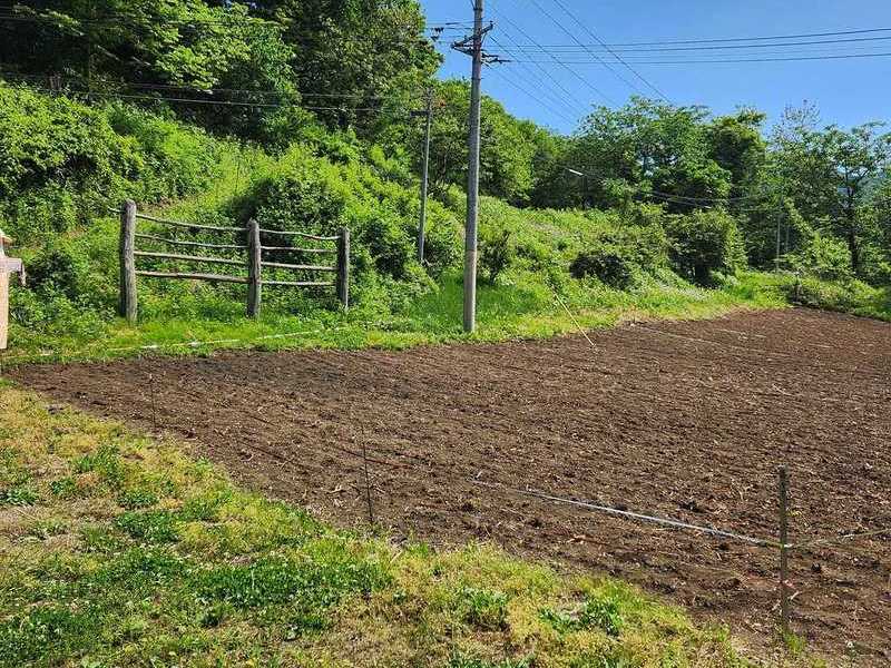 【岩手岩泉】　プレ雑穀栽培体験会