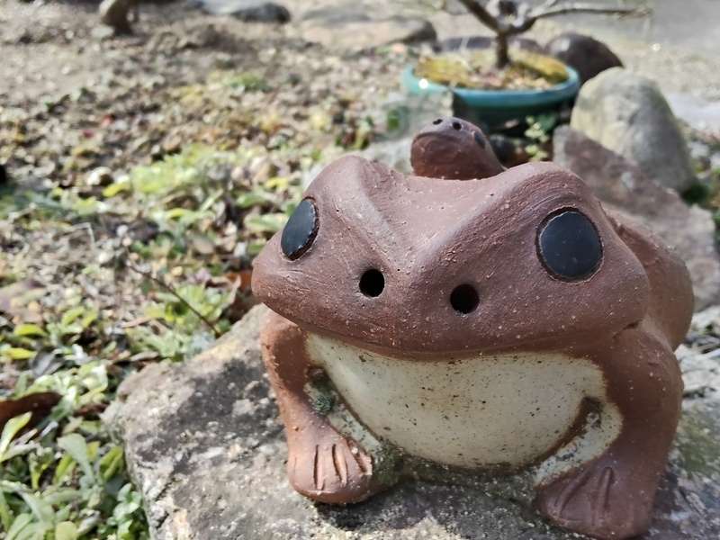 テラスごはんのイメージ画像