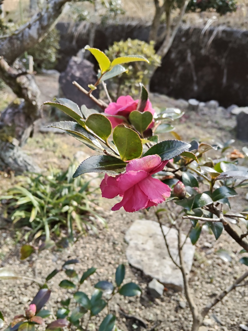 テラスごはんのサブイメージ画像