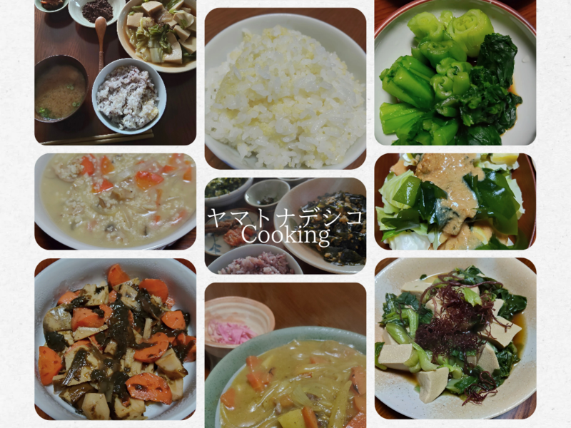 テラスごはんのイメージ画像