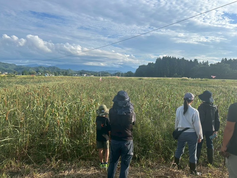 【山形高畠】雑穀栽培体験会×つぶつぶ料理レッスン　虫と共生する雑穀栽培/木酢液とニームの力