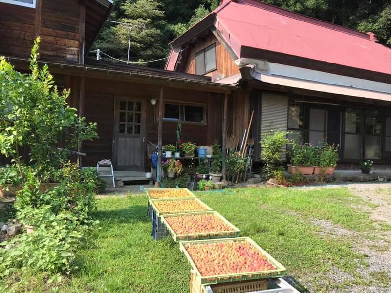 【山梨身延】ココロとカラダ整う「漬物暮らし」オープンデー（4/4午前の部）