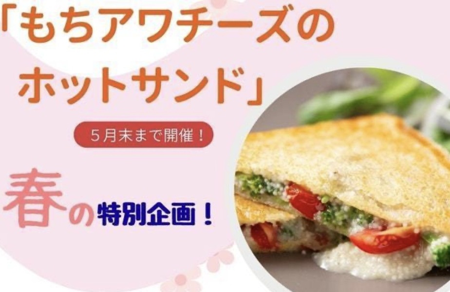 【春限定！】もちアワチーズのホットサンド☆