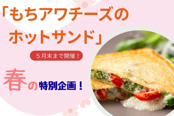  【秋田・潟上】サクサク×とろ〜り！もちアワチーズのホットサンドレッスン