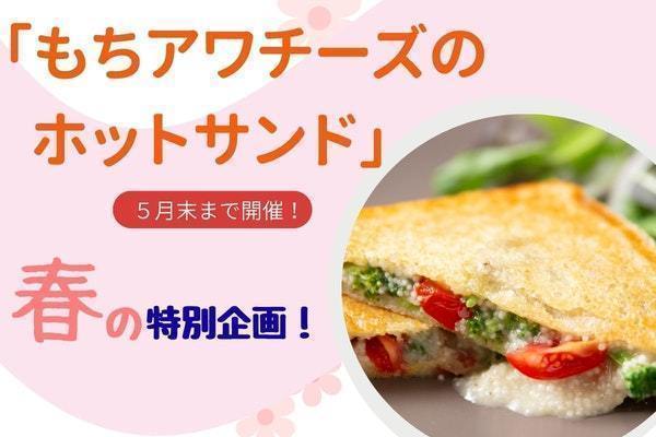 [熊本玉名郡]もちアワでチーズ？！ホットサンド