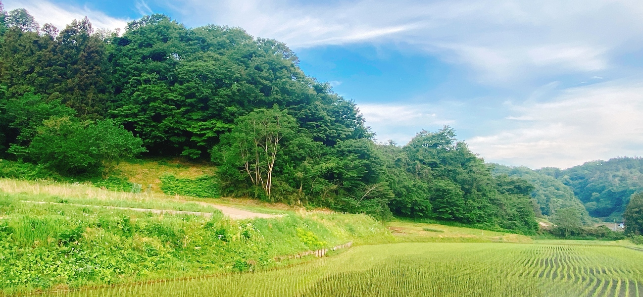 【福島・川俣町】雑穀栽培体験×つぶつぶ料理レッスン ∞たわわのサブイメージ画像