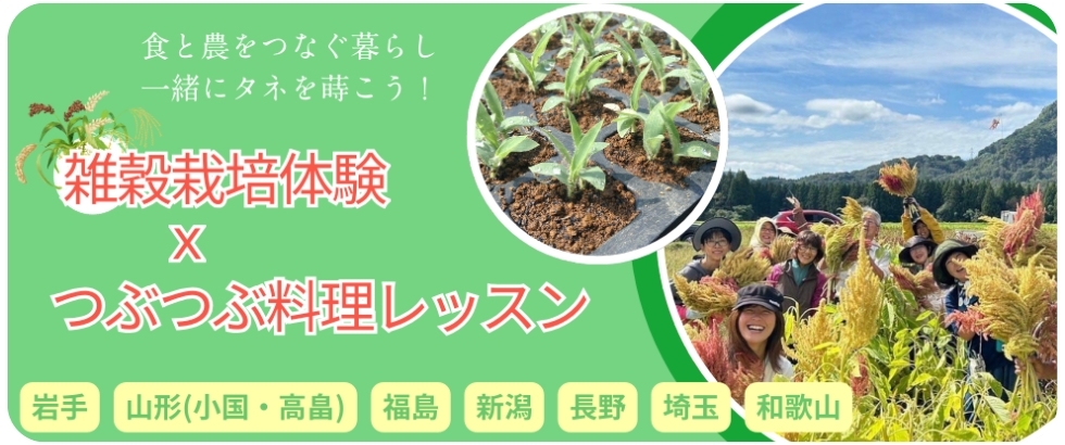 イメージ画像